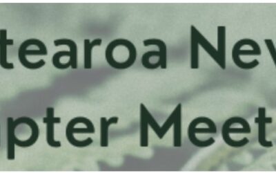 Johanna Birrell presenting at 2024 ANZSN NZ Chapter Meeting – Bruce Morrison Award